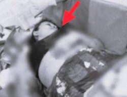 Usai Dengar Suara Aneh, Suami Langsung Cek Toilet, Astaga, Ternyata Sang Istri Lagi Wik-Wik Dengan Berondong, Lihat Endingnya