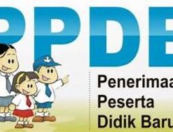 Mengejutkan Terdapat 6 Temuan PPDB 2023, Ombudsman Langsung Ungkap, Simak!!!