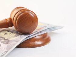 Skandal Pengelolaan Dana Bantuan 1 Miliar di Bali: BUMDes Terjerat Macet, Begini Reaksi Mereka Dan Kejaksaan