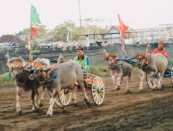 Mekepung Bupati Cup 2023 Pertama Kali Diselenggarakan di Sirkuit All in One