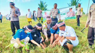 Peduli Lingkungan, Kapolsek Mendoyo Bersama Warga dan mahasiswa Tanam Bakau di Pesisir Pantai Penyaringan