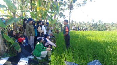 Babinsa Koramil 03/Tembuku Memonitoring Kegiatan Lomba Layang-layang Memeriahkan HUT Kemerdekaan RI