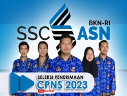 Pendaftaran Sudah Dibuka Cek Disini !! Pemerintah Butuh 572.496 Pegawai Baru, Untuk Berbagai Instansi/Lembaga