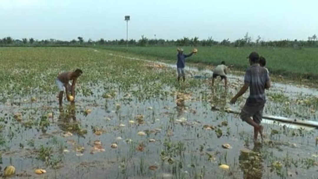 Hujan Deras, Belasan Warga Kabupaten Jembrana Tersambar Petir