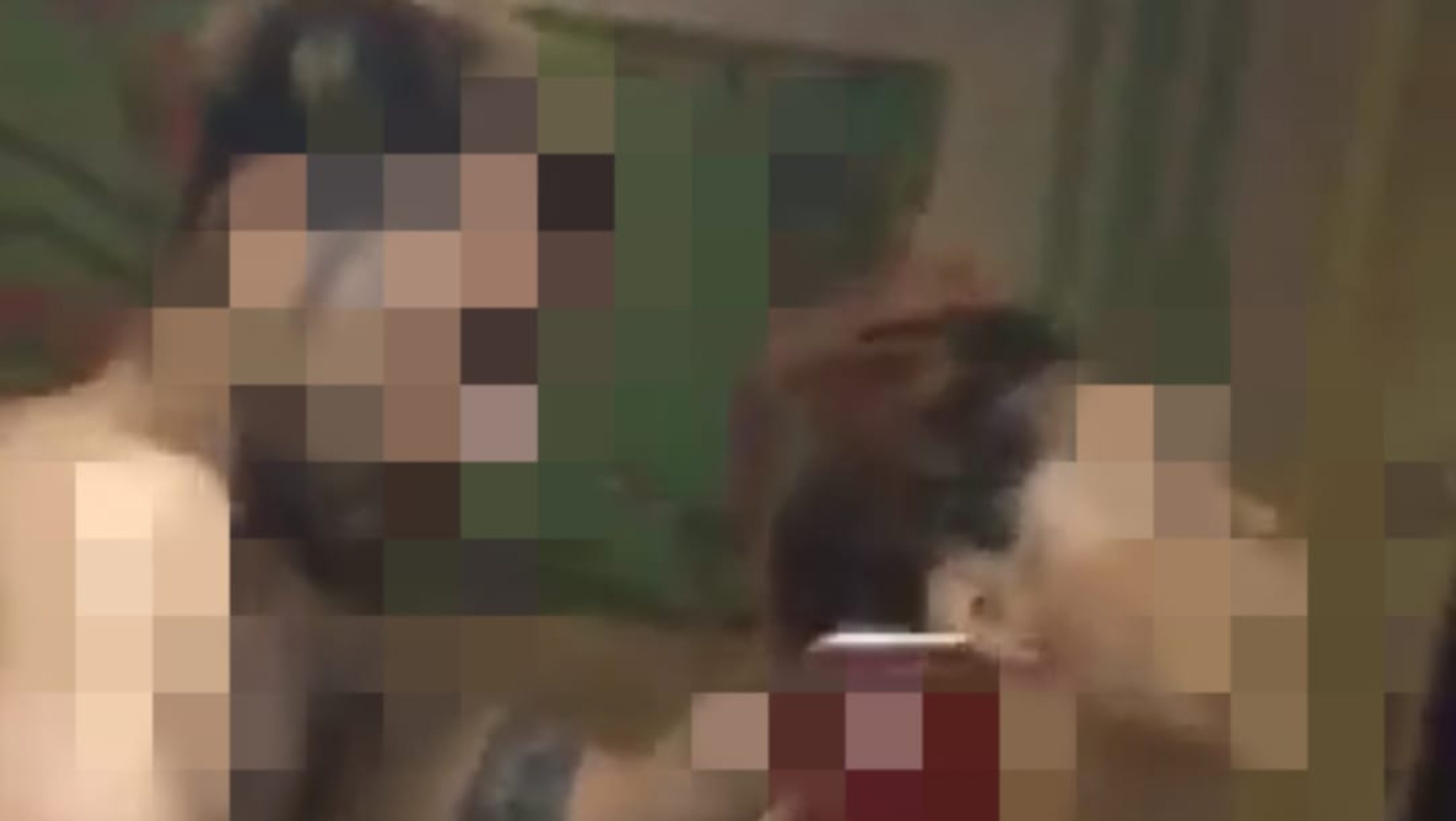 Viral !! Unggahan Video Porno Di Medsos Bersama Bule, Pemeran Wanita Diduga Warga Jembrana