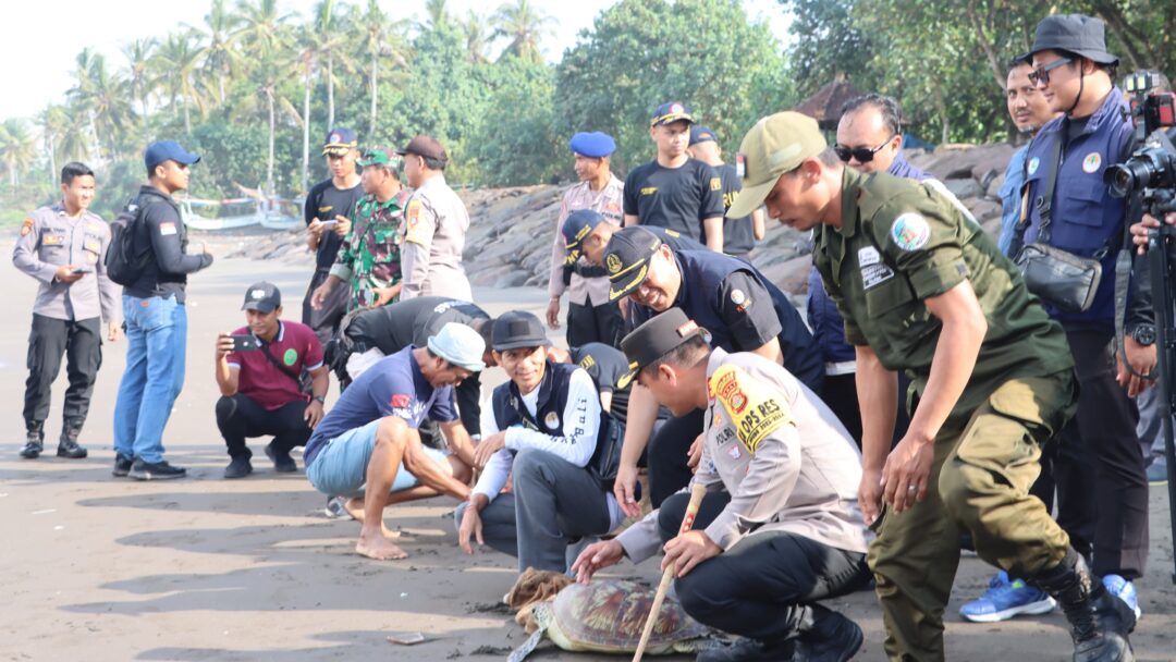 Penyelundupan Penyu Hijau Berhasil Diamankan Team Unit Gakkum Sat Polairud