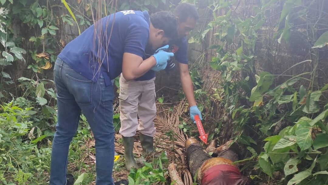 Tanpa Identitas Mayat Wanita Ini Ditemukan Membusuk Di Kebun Kelapa