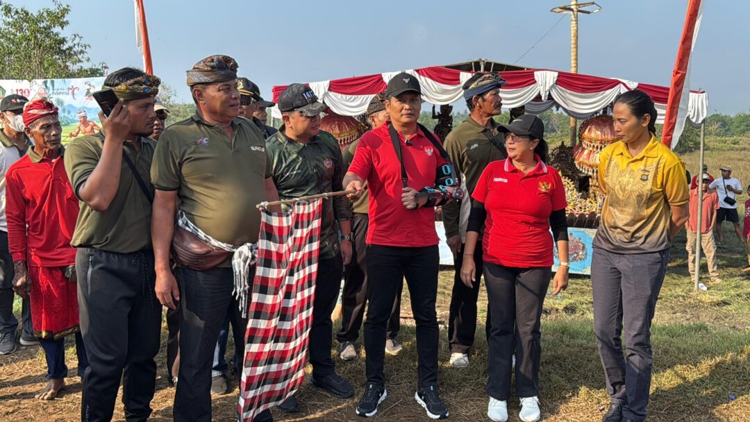 Ribuan Penonton Padati Lomba Makepung Bupati Jembrana CUP Tahun 2025